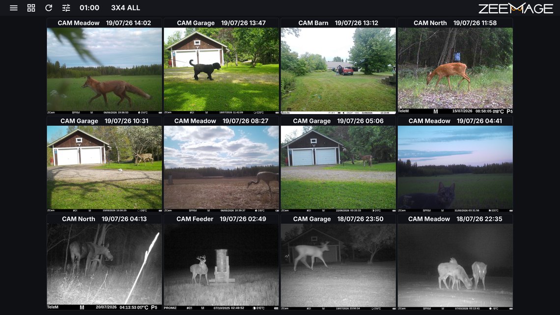 Control room: real-time view of all cameras